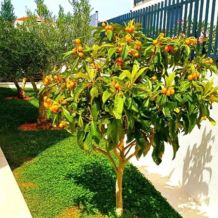 Dolce Sevid Σπίτι διακοπών